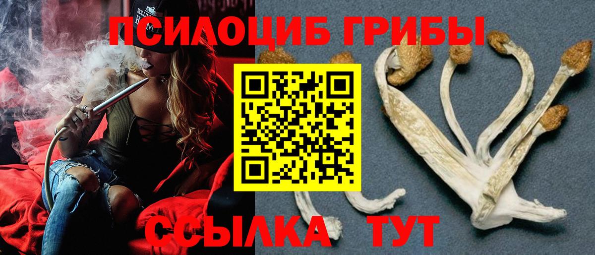 Галлюциногенные грибы Psilocybine cubensis  Вход с VPN  Тамбов  Галлюциногенные грибы ЛСД 